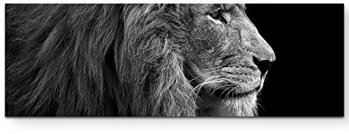 Leinwandbilder | Bilder Leinwand 150x50cm Portrait Löwe schwarz/weiß