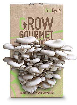 GroCycle Oyster Mushroom Growing Kit | Mushroom Grow Kit | Gardening Gifts for Women, Men & Kids | Grow Your Own Kits | Fun to Grow & Delicious to Eat | Oyster Mushroom Grow Kit | Mushroom Gifts