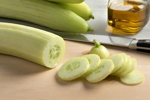 Sachet de graines de Concombre White Wonder - Sachet de 1,5 grammes - Graines de style