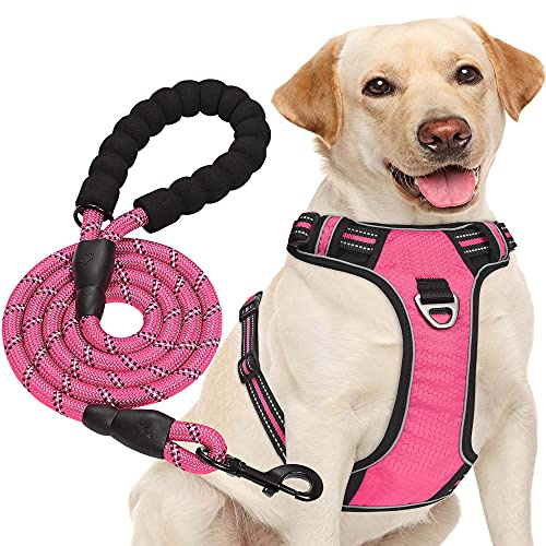 haapaw – Harnais anti-traction pour chien de taille moyenne et grande, réglable, en tissu Oxford réfléchissant, facile à contrôler, avec une laisse robuste gratuite