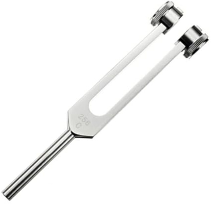 2Stk 256Hz Edelstahl-Stimmgabel Standard Violine Gitarre Tuner Instrument & Aufbewahrungstasche für Vibrationstherapie Klangheilung Neurologische Untersuchungen