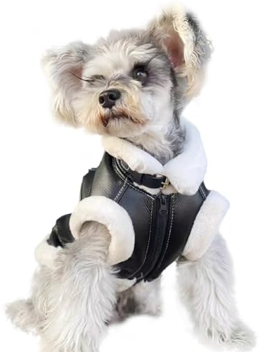 EUTYRG Hunde-Leder-Motorradjacke, Winter-Hundemantel mit Fleecefutter und D-Ringen, Rollkragen, Winddicht, warm, für Welpen, V (schwarz, L)