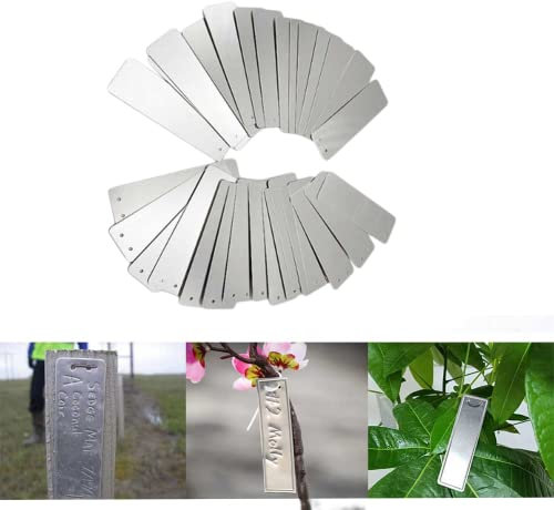 RANRAO Lot de 100 étiquettes double face en aluminium pour plantes - Durable et étanche
