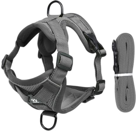Arnes Gato, Arnes para Gatos Antiescape con Correa 150cm, a Prueba de roturas, Correa para Gatos con arnés Ajustable para gat os, Juego de arnés Suave con Rayas Reflectantes, para Caminar Viajes