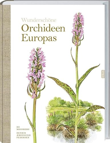 Wunderschöne Orchideen Europas: Entdecken, Identifizieren und Verstehen. Der umfassende Leitfaden mit Artenporträts und einzigartigen Illustrationen zu über 30 europäischen Orchideenarten.