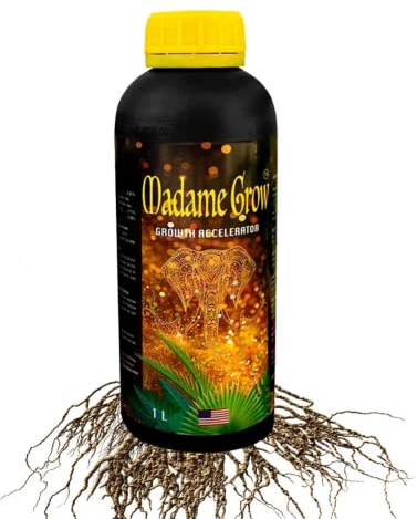 MADAME GROW fertilizzante piante - fertilizzante piante - fertilizzante piante verdi -fertilizzante piante verdi -substrato piante verdi -fertilizzante per piante -fertilizzante(GROWTH ACCELERATOR 1L)