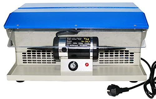 NOALED Polisseuse de Bijoux Kit de Polissage de Bijoux Machine de Polissage de Polissage avec Banc de collecteur de poussière Polisseuse de Bijoux Outil électrique Robuste Multi-Usage 8000 TR/Min GR