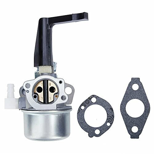 Woopeey Carburateur 696065 697422 avec joint de montage pour moteur Briggs & Stratton 110402 110412 215369 Motoculteur Rototiller Troy Generator Intek Motor 696065 697422 696065 697422