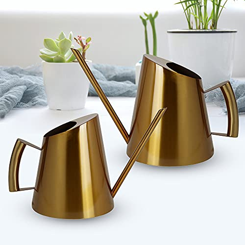 Regadera pequeña de metal de 1500 ml, regadera de jardín, regadera dorada de acero inoxidable cepillado, boquilla larga para plantas en maceta, plantas de interior, plantas de terraza
