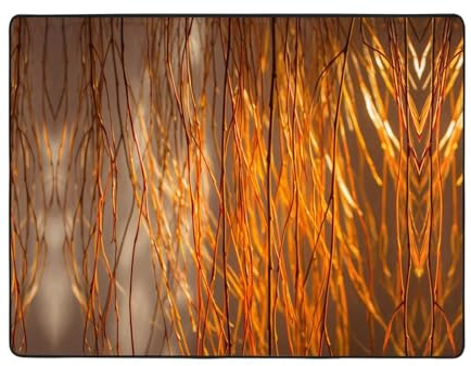 VVXBHGR Tappeto antiscivolo 160 x 122 cm rami di salice al sole stampa buon assorbimento d'acqua adatto per cucina, bagno e soggiorno