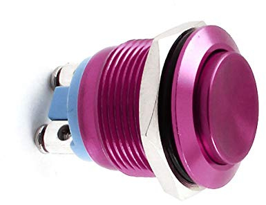 Aexit da pannello 19mm SPST NO Interruttore a pulsante momentaneo in metallo AC 250V 5A ID: 813307