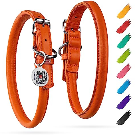 WAUDOG Hundehalsband aus gerolltem Leder für kleine Hunde – weich gepolsterte Hundehalsbänder für mittelgroße Hunde – Welpenhalsbänder für große Hunderassen – Hundehalsband für Rüden und Hündinnen