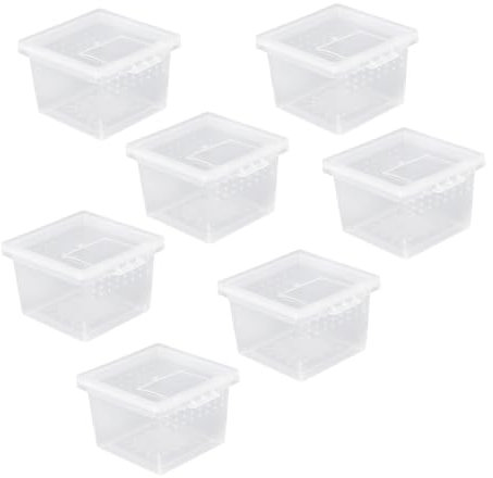 BESPORTBLE 10 Stück Reptilienzuchtbox Aus Bruchsicherem Kunststoff Tragbare Kleiner Fütterungsbox Mit Flip Deckel Sicher Und Kompakt Für Reptilien Und Spinnenhaltung