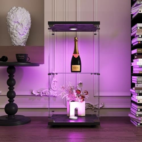 BPKADHY Glasvitrine Standvitrine, Vitrinenschrank Led Beleuchtung mit Schloss und 1 Türen 2 Fächern Vitrine mit Glas Sammlervitrine Led für Sammlerstücke, Bücher, Modelle (1 Tür, 2 Etagen, Schwarz)