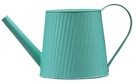 NESPIQ Arrosoir De Jardin Arrosoirs Fer Arrosoir Long Bec Arrosage Pot Métal Arrosoir pour Intérieur Extérieur Maison Plante Arrosage Arrosoir À Fleurs(Grün)