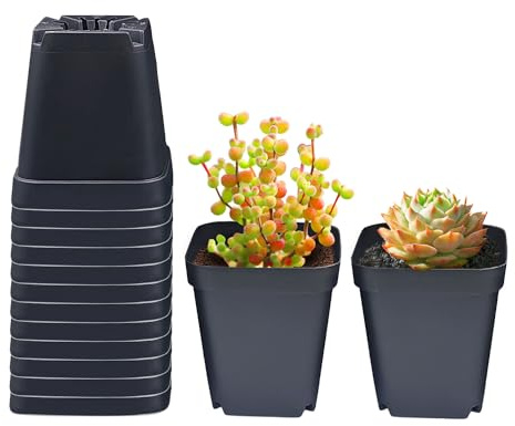 Anzuchttöpfe Schwarzer Quadratischer, 90 Stück 9 x 9 cm Kindergarten Sämling Blumentopfe Samen Starter Keimtopf für Pflanzenvermehrung Sukkulenten, Aussaat, Stecklinge, Umpflanzen