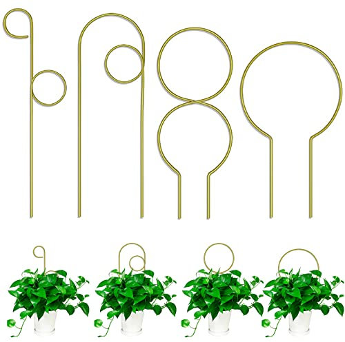 Lot de 4 treillis de jardin pour plantes grimpantes, treillis en fer noir/doré pour plantes grimpantes en pot pour Hoya, Pothos, fleurs, Monstera