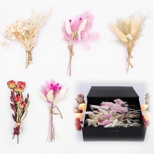 MACULPER 70 Stück Trockenblumen Klein Getrocknete Blumen Trockenblumenstrauß Klein Trockenblumenstrauß Mini Trockenblumen Zum Basteln Trockenblumen Mini für Handgemachte Heimdekoration Hochzeit