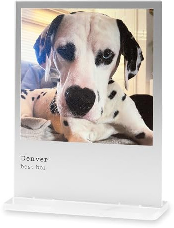 Custom Printed Photo Display Plaque with Stand – Personalised Frame Gift for Couples, Family, Pets (Frosted, Regular)