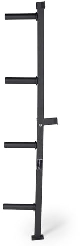 Titan Fitness Weight Plate Wall Mounted Storage Rack, Angled 4-Peg Design, Olympic Sized Weight Plate Organizer, Rated 800 LB, Anchored Wall Mounted Storage