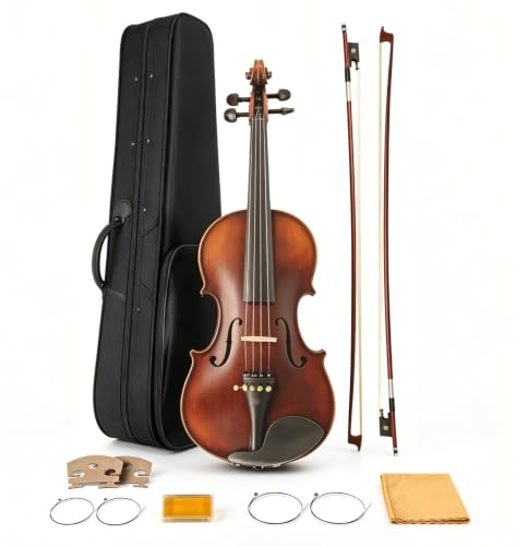 Ceciliec Violin for Beginners, Acoustic Full Size 4/4 Violin Fiddle Starter Kit, Stringed Musical Instrument w/Case, 2 Violin Bows, 2 Bridges, Strings, Cleaning Cloth