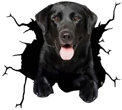 Asudaro 4 Stück Car Dekoration Tier Sticker Aufkleber, Hundeloch Autofenster Aufkleber 3D wasserdichter Hund Autoaufkleber Lustige Persönlichkeit Simulation Aufkleber,30cm x 30cm,#2