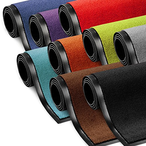 etm Schmutzfangmatte ColorLine | Türmatte in vielen Größen | Fußmatte für Innenbereich | Rutschfester Teppich für Flur, Haustür, Eingang, Eingangsbereich, Vorzimmer - Silbergrau 120x180 cm