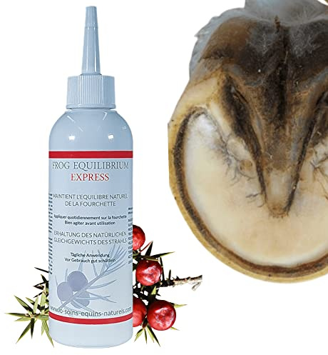 Frog Equilibrium Express - Cura naturale riparatore e protettore delle forchette per cavallo - Ritorno rapido allo stato fisiologico (200 ml)