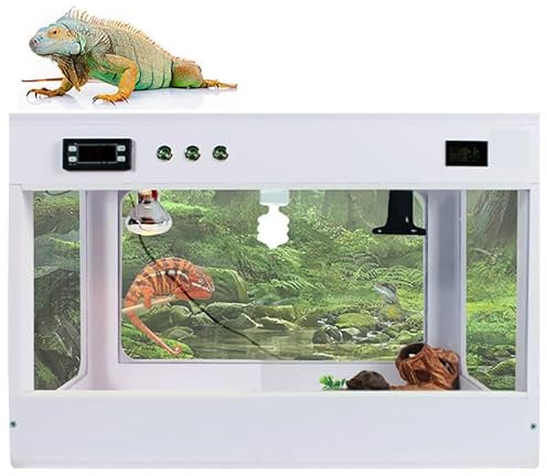 Grande scatola per rettili in acrilico, Habitat per lucertole, Acquario per habitat di rettili alto e largo, Scatola per alimentazione insetti, Mini custode di creature, Habitat di ragno lumaca