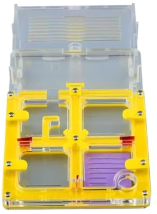 HYKJCSS Ameisenfarm Insektenbedarf Ameisenburg Acryl Ameisenfarm Feuchtigkeitsspendende Natur Display Box Puzzle Lebensraum Wissenschaft DIY Ameisennest Farm Ameisen Farm(Yellow)