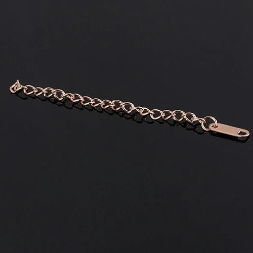 10–20 Stück Edelstahl-Verlängerungsschwanzkette mit Karabinerverschluss, Verbindungsstück für Armband, Halskette, DIY-Schmuckherstellung, Fundstück-B-6 cm-Roségold-10 Stück