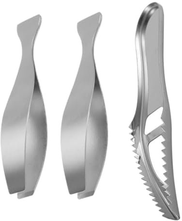 PHENOFICE Strumenti per La Pulizia del Acciaio Inossidabile Pinzette per Lische Raschietto per Squame Utensili Pratici per La da Usare e Portatile