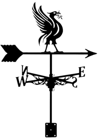 Metal Weathervane Owl Iron Weather Vane,Bee Wind Direction Indicator Weathercock Garden Decoration Outdoor Roof Decoration Gardening (Phoenix)