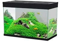 Askoll 280283 Emotion PRO LED 80 con Filtro Esterno Pratiko200, M, Nero