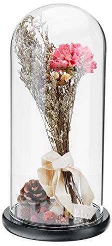 ExcLent Grande Vetro Display Campana Jar Dome Cloche Con Base Decorativo Scrivania Vintage Stand