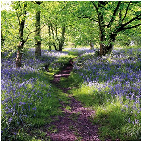 Wallario Memoboard aus Glas mit Motiv, Magnet-Tafel in 50 x 50 cm in Premium Qualität Blaues Hasenglöckchen im Wald