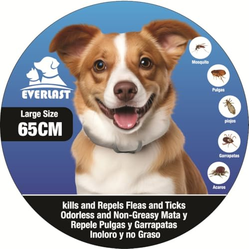 Collare Antiparassitario per Cani - 8 Mesi di Protezione contro Pulci, Zecche, Zanzare e Acari - 65 cm Regolabile, Efficace e Sicuro 100% Naturali (1, BIANCO, 65CM)