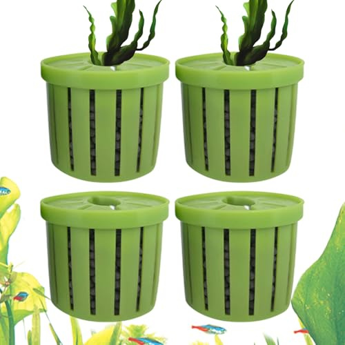 Vasi Piante Acquario Cestino Per Piantagione Fioriera | Supporto Pothos Acquario 4 Pezzi Decorazione Parete Laghetto Giardino Mensola Angolo Vasca Piante Acquatiche Giochi D'Acqua