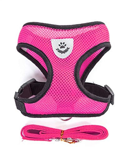 Chihuahua Mops Bulldogge Katze Atmungsaktives Welpengeschirr und Leine Set Welpe Katze Weste Geschirr Halsband Hundegeschirr S Rose