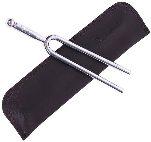 Toddmomy Diapason en Acier Standard International avec Étui Argenté, Accordeur de Tonalité Pratique pour Instruments de Musique, Fourchettes Musicales Précises, Usage Voyage
