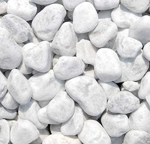 hagebauSPN 25Kg Carrara-Zierkies 40-60mm