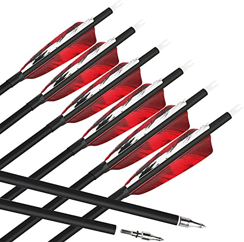 HNZMDY 6 Stück Bogenschießen Carbon Pfeile 28/30/31 Zoll Jagdpfeile Spine 500 mit Naturfeder Bogen Pfeile für Recurvebogen Compoundbogen