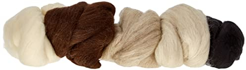 Rayher 53879000 Reine Schurwolle, Kammzug, Filzwolle, 5 Farben à 25 g, Naturmischung, 100 % Schurwolle zum Filzen, gesamt 125 g, Filzwolle, Wolle, 25 x 16 x 6 cm