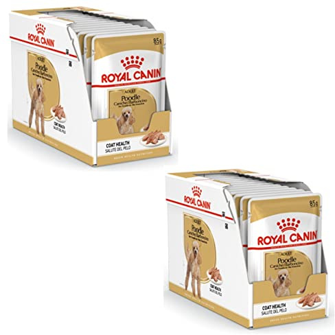 Royal Canin Poodle Adult | Doppelpack | 2 x 12 x 85 g | Nassfutter für ausgewachsene Pudel | Zur Unterstützung des Fells | Optimale tägliche Ernährung | Ab dem 10. Lebensmonat