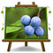 Prunus épineux ou prunier épineux, plante fruitière dans un pot de 15x15 cm. Hauteur de 80-100 cm.