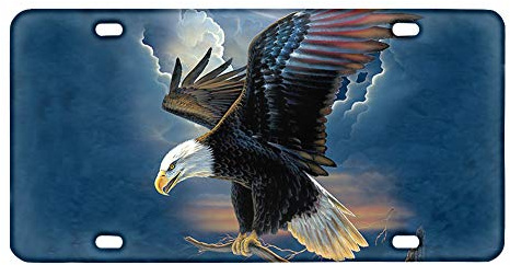 TOADDMOS Placa de matrícula decorativa para coche, diseño de águila calva volando en el cielo, placa de metal para coche, placa de aluminio novedad, 6 x 12 pulgadas