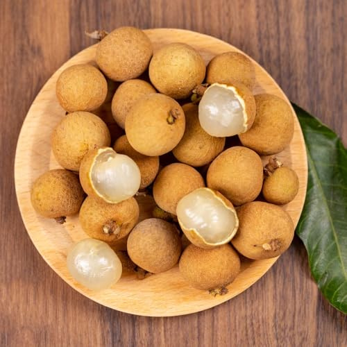 LonganSamen, obstsamen Dimocarpus longan, säulenobst obstsamen säulenobst winterhart obstbäume kaufen obstgarten exotische obstbaum 15pcs