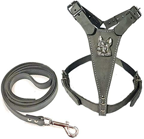 Hundegeschirr und Leine, Leder, Motiv Französische Bulldogge und passende Lederleine, Grau