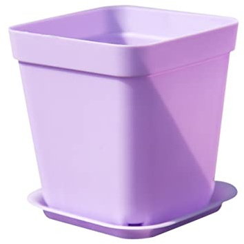 INOOMP 10 Macetas Cuadradas de Plástico para Suculentas 7 Cm | Bandejas Incluidas, Mini Formato para Planta Pequeña, Uso en Barra de Café y Decoración de Área Comercial