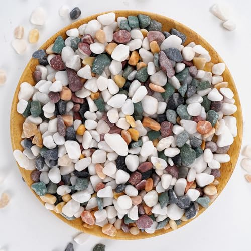 Natürliche dekorative Kieselsteine, polierter Tterrarium-Kies, weiße Steine mit roten, grünen und gelben Pastell-Akzenten, gemischte Farben, Aquarium-Steine, Gartenzubehör, getopft, 1 kg